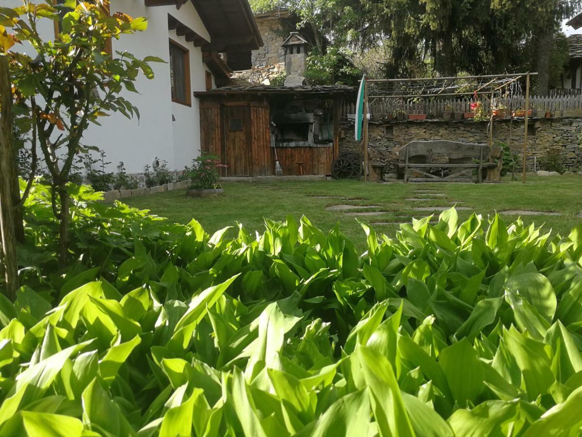 Слънчевата Къща Kovačevica Exterior foto